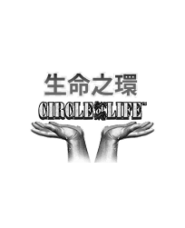 生命之環